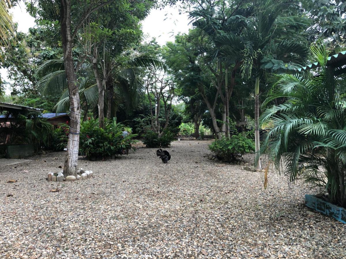 Hostel Hacienda Valencia Guachaca Exterior foto